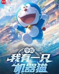 华娱：我有一只机器猫