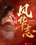 红楼风华志